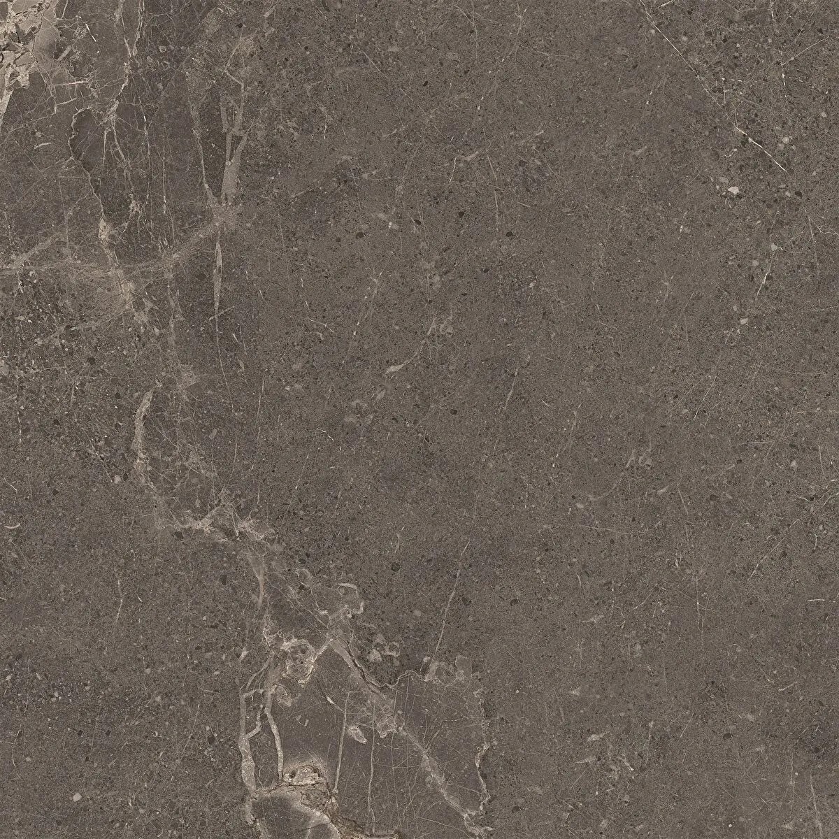 Meteorite Tile Mink 60x60